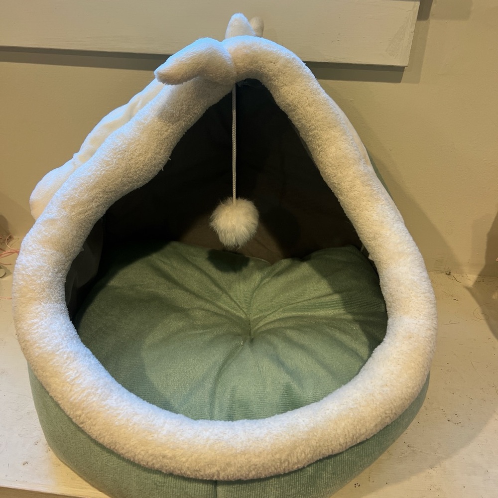 Cozy Green Cat Bed with White Trim